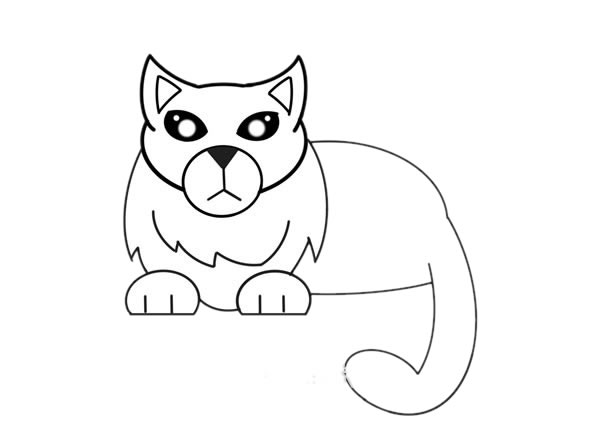 缅甸猫简笔画步骤教程