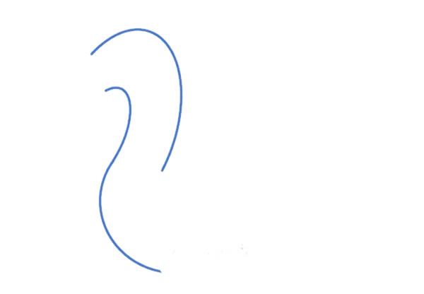 白天鹅简笔画画法步骤