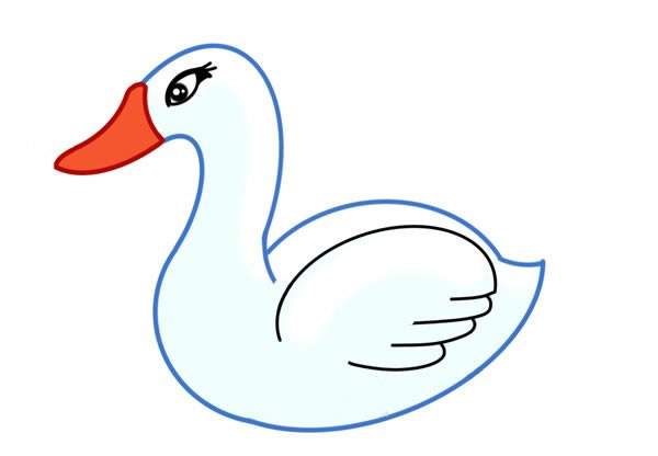 白天鹅简笔画画法步骤