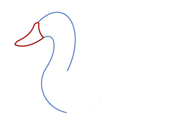 白天鹅简笔画画法步骤