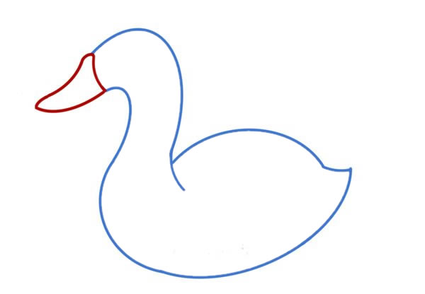 白天鹅简笔画画法步骤