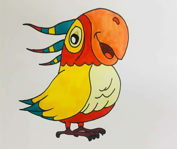 五颜六色的鹦鹉简笔画教程 五颜六色的鹦鹉简笔画教程
