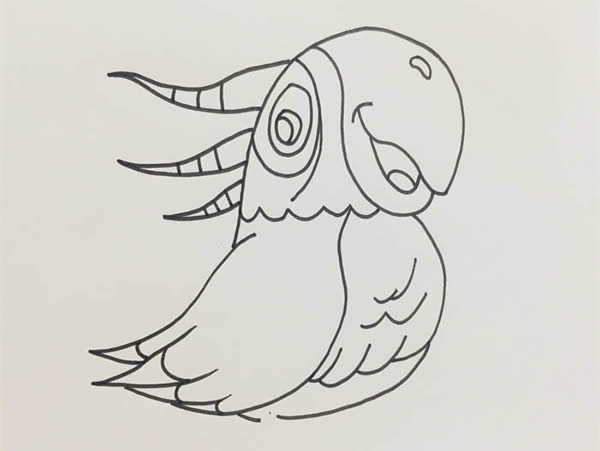 五颜六色的鹦鹉简笔画教程 五颜六色的鹦鹉简笔画教程