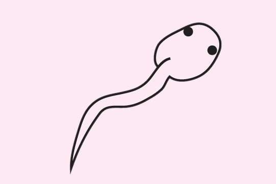 关于蝌蚪的简笔画