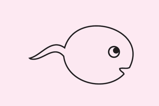 蝌蚪卡通简笔画