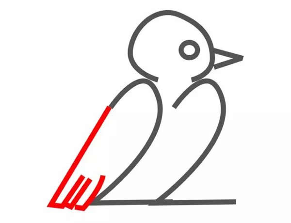 教你怎么用数字画鸽子