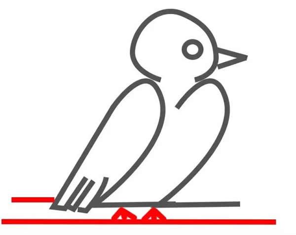 教你怎么用数字画鸽子