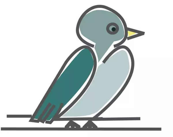 教你怎么用数字画鸽子