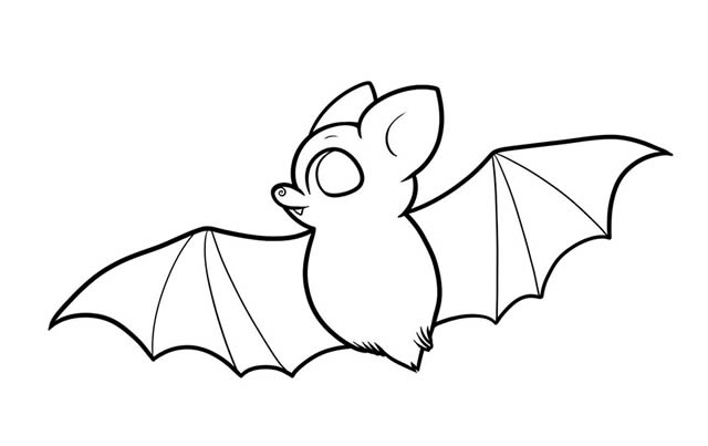 蝙蝠儿童简笔画
