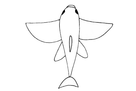 飞鱼简笔画的画法 飞鱼简笔画的画法