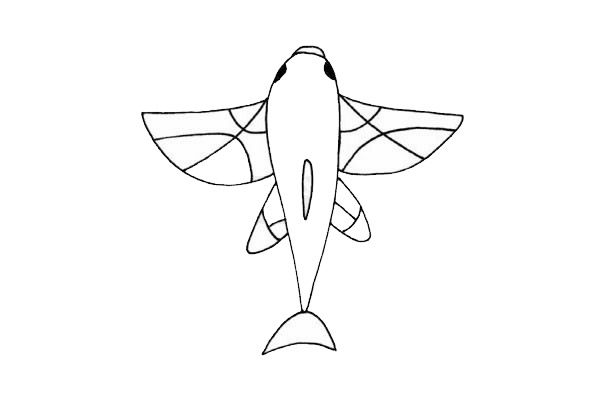 飞鱼简笔画的画法 飞鱼简笔画的画法