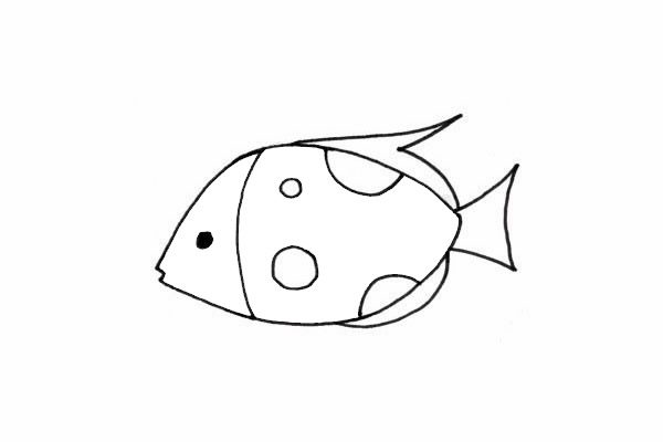 热带观赏鱼简笔画步骤