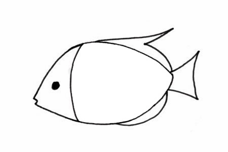 热带观赏鱼简笔画步骤