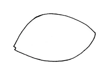 热带观赏鱼简笔画步骤