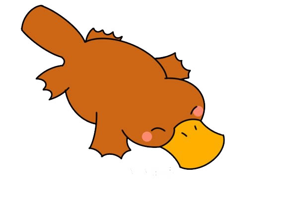 鸭嘴兽简笔画步骤