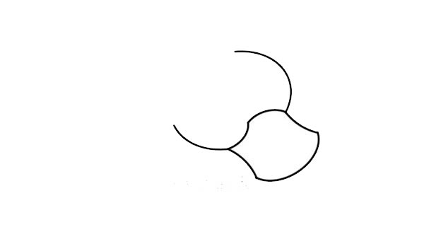 鸭嘴兽简笔画步骤