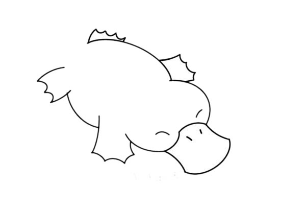 鸭嘴兽简笔画步骤