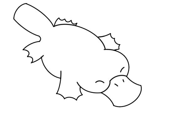 鸭嘴兽简笔画步骤