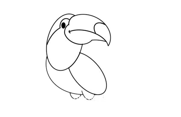 漂亮的犀鸟简笔画步骤