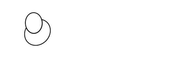 炫彩的海螺简笔画步骤