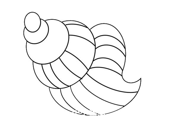 炫彩的海螺简笔画步骤