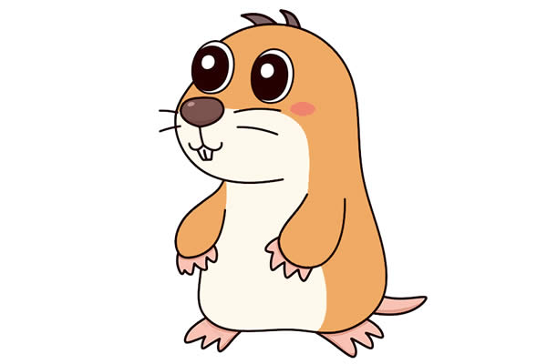 卡通鼹鼠简笔画步骤 卡通鼹鼠简笔画步骤