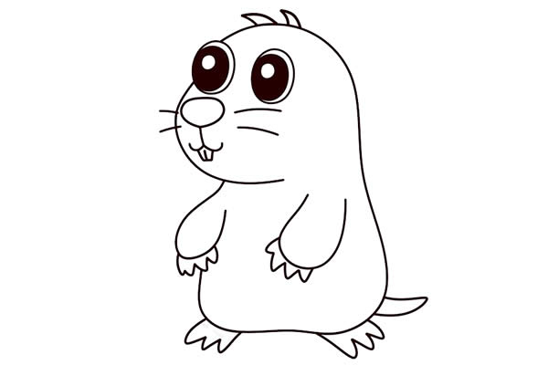 卡通鼹鼠简笔画步骤 卡通鼹鼠简笔画步骤