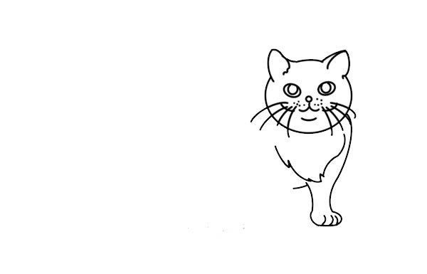 橘色小猫简笔画步骤