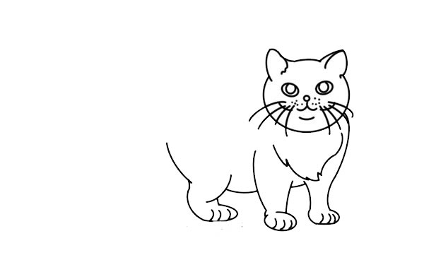 橘色小猫简笔画步骤