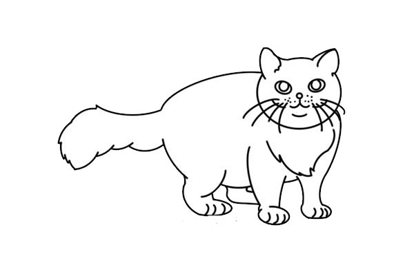 橘色小猫简笔画步骤