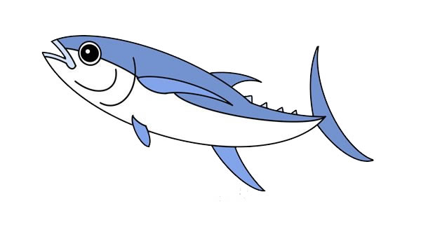 金枪鱼简笔画的画法