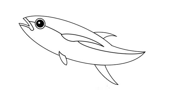 金枪鱼简笔画的画法