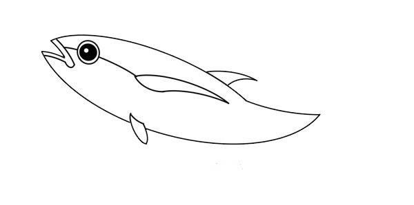 金枪鱼简笔画的画法