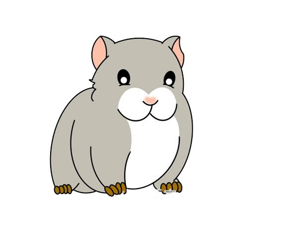 彩色豚鼠简笔画画法(小豚鼠简笔画)