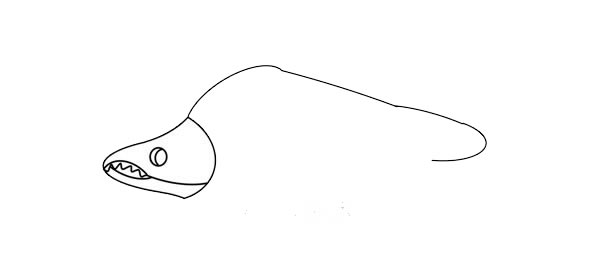 大马哈鱼简笔画画法