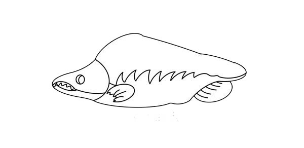 大马哈鱼简笔画画法