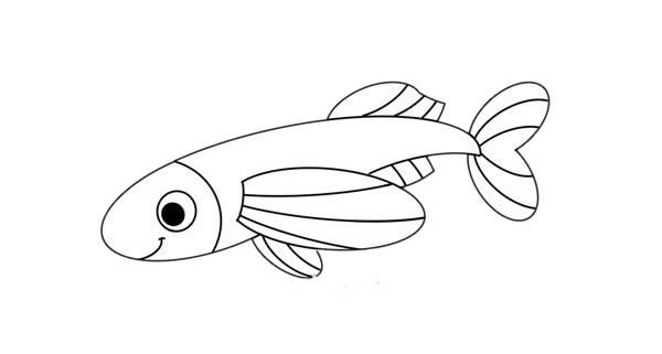 卡通飞鱼简笔画步骤