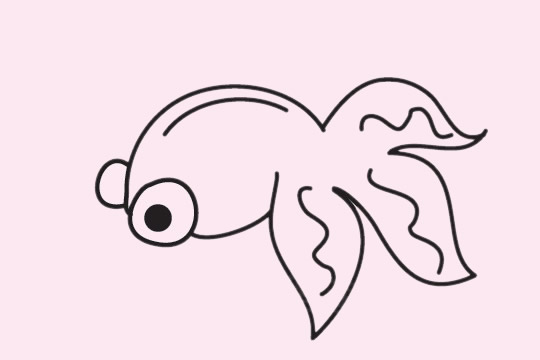 金鱼儿童简笔画(金鱼儿童简笔画漂亮彩色)