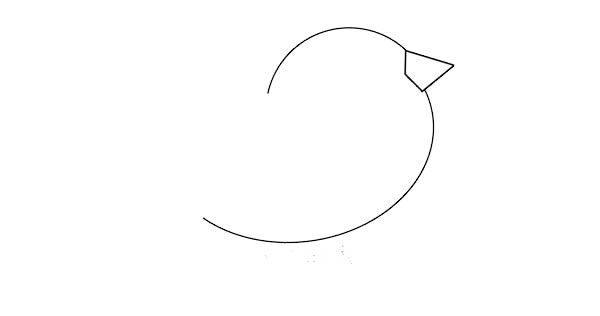 漂亮的彩色小鸟简笔画