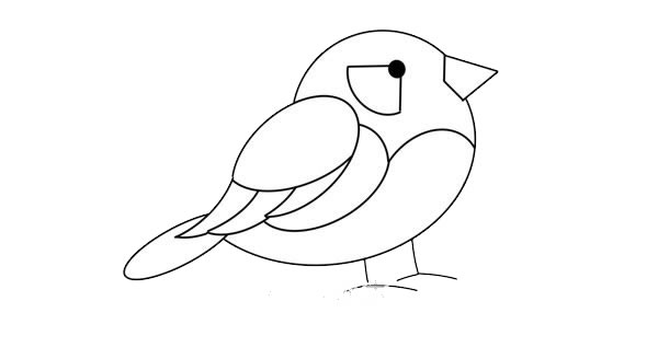 漂亮的彩色小鸟简笔画