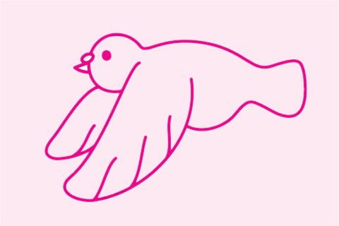 超简单鸽子简笔画步骤(鸽子简笔画简单又好看图片)