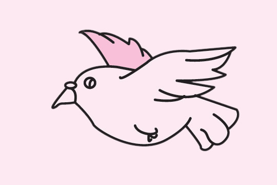 展翅高飞的鸽子简笔画