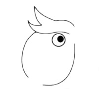 适合幼儿的鹦鹉简笔画