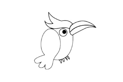 适合幼儿的鹦鹉简笔画