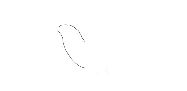 蜂鸟简笔画的详细步骤(蜂鸟简笔画图片大全大图)