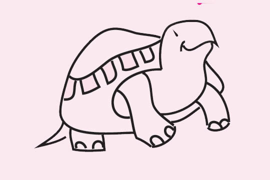 乌龟简笔画怎么画(乌龟简笔画怎么画好看)