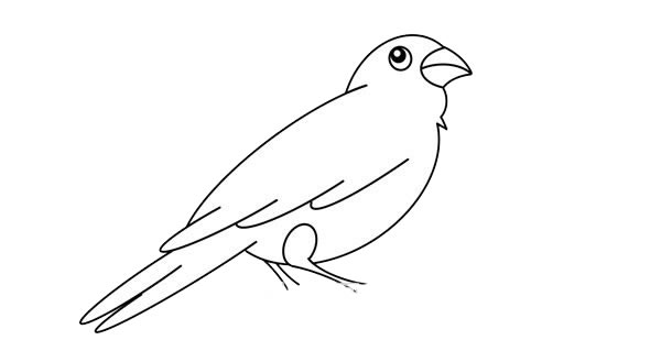 电线上的麻雀简笔画步骤