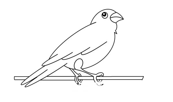 电线上的麻雀简笔画步骤