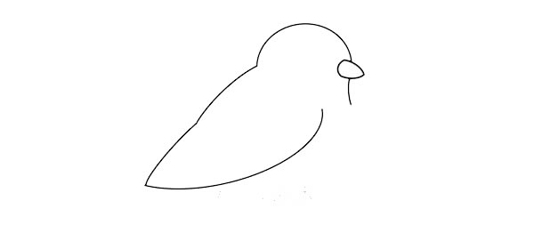 可爱黄鹂鸟简笔画画法