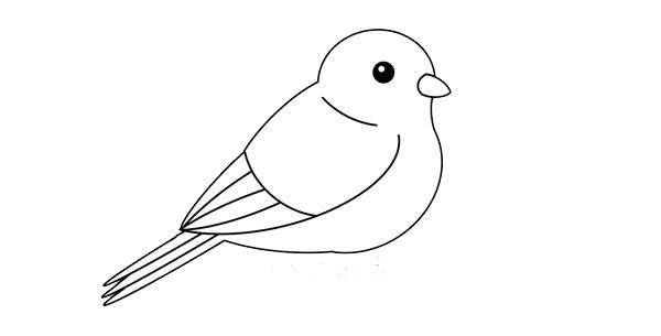 可爱黄鹂鸟简笔画画法